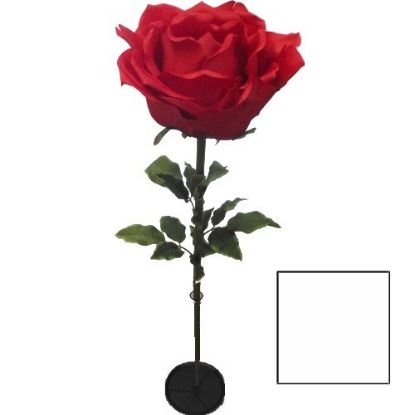 Picture of 136cm XL GIANT SINGLE ROSE WHITE