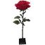 Picture of 125cm GIANT SINGLE ROSE RED