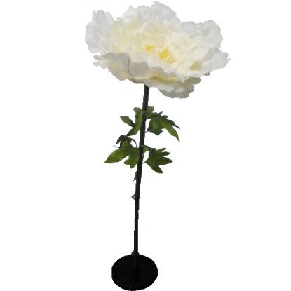 Picture of 135cm XL GIANT SINGLE PEONY CREAM