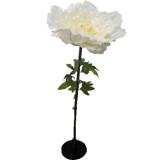 Picture of 135cm XL GIANT SINGLE PEONY CREAM