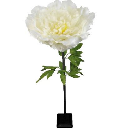 Picture of 125cm GIANT SINGLE PEONY CREAM