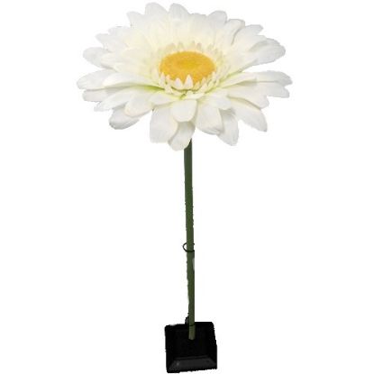 Picture of 120cm XL GIANT SINGLE GERBERA CREAM