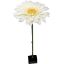 Picture of 120cm XL GIANT SINGLE GERBERA CREAM