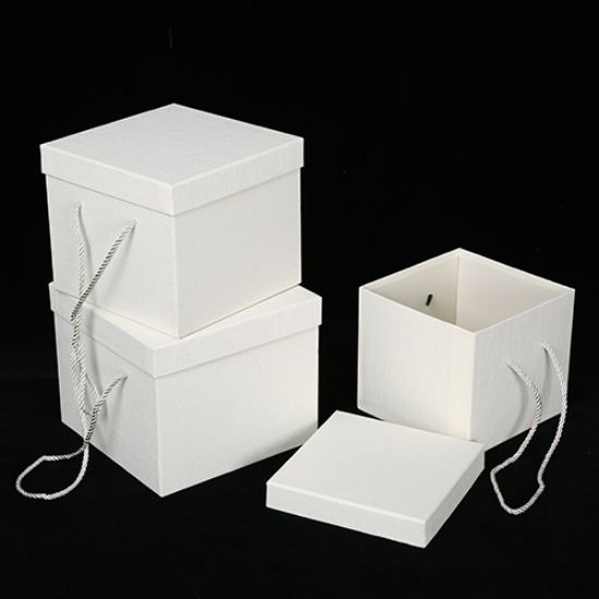 Picture of SET OF 3 SQUARE FLOWER BOX CREAM