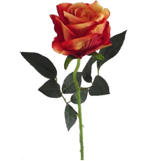 Picture of 52cm SINGLE LARGE VELVET TOUCH OPEN ROSE ORANGE