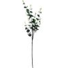 Picture of 94cm EUCALYPTUS SPRAY FROSTED GREEN