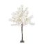 Picture of 150cm ARTIFICIAL BLOSSOM TREE WITH 320 FLOWERS IVORY X 2pcs