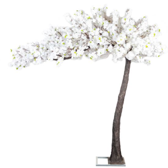 Picture of 320cm DELUXE ARTIFICIAL CANOPY STYLE BLOSSOM TREE WITH 5184 FLOWERS WHITE