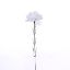 Picture of SINGLE CARNATION WHITE X 72pcs