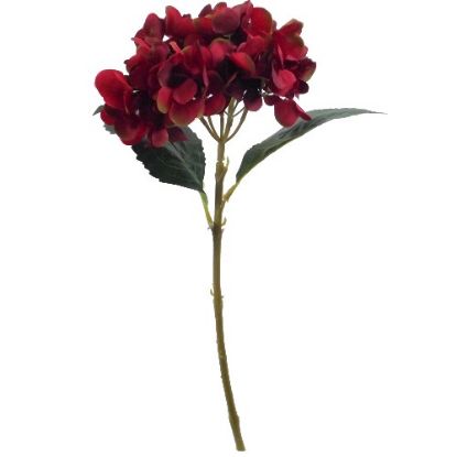 Picture of 46cm SINGLE HYDRANGEA BURGUNDY