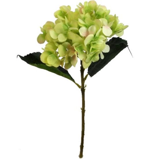 Picture of 46cm SINGLE HYDRANGEA GREEN