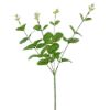 Picture of 59cm EUCALYPTUS SPRAY GREEN