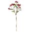 Picture of 53cm WILD BERRY SPRAY RED