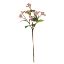 Picture of 53cm WILD BERRY SPRAY PINK