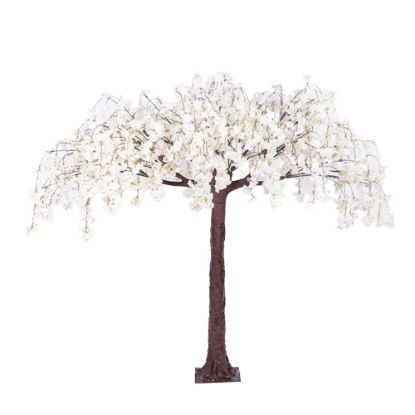 Picture of 200cm DELUXE ARTIFICIAL BLOSSOM TREE IVORY