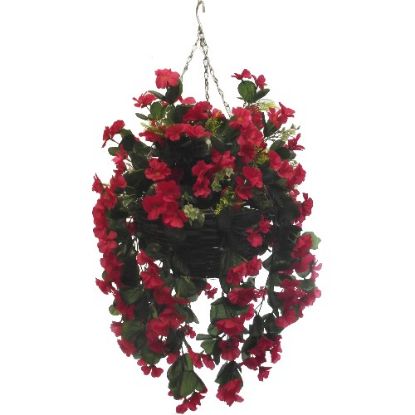 Picture of 10 INCH NASTURTIUM HANGING BASKET FUCHSIA X 12pcs