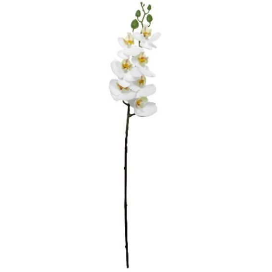 Picture of 63cm PHALAENOPSIS ORCHID SPRAY IVORY