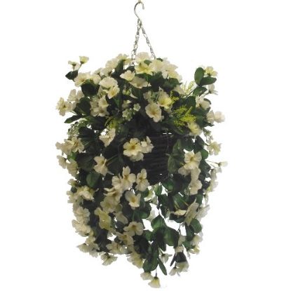 Picture of 10 INCH NASTURTIUM HANGING BASKET IVORY X 12pcs