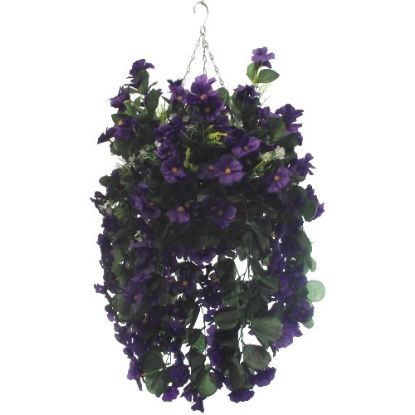 Picture of 10 INCH NASTURTIUM HANGING BASKET PURPLE X 12pcs