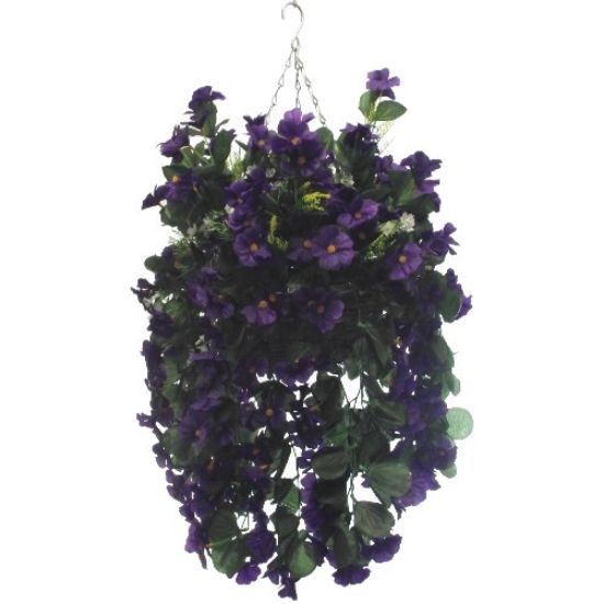 Picture of 10 INCH NASTURTIUM HANGING BASKET PURPLE X 12pcs