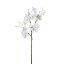 Picture of 51cm HYDRANGEA SPRAY IVORY