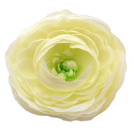 Picture of 7-8cm LARGE RANUNCULUS FLOWER HEAD IVORY X 50pcs