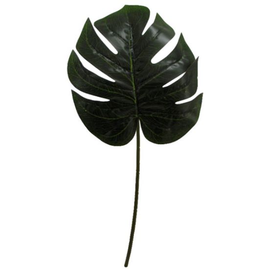 Picture of 73cm LARGE SPLIT PHILO LEAF X 12pcs GREEN