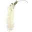 Picture of 114cm  TRAILING BLOSSOM SPRAY IVORY