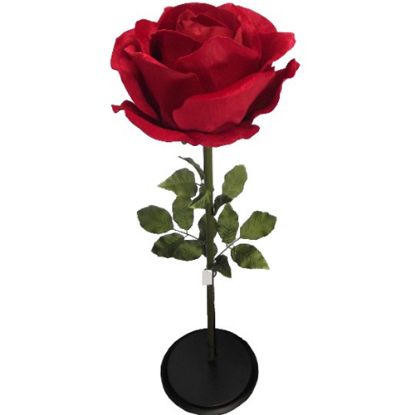 Picture of 125cm GIANT VELVET TOUCH SINGLE ROSE RED