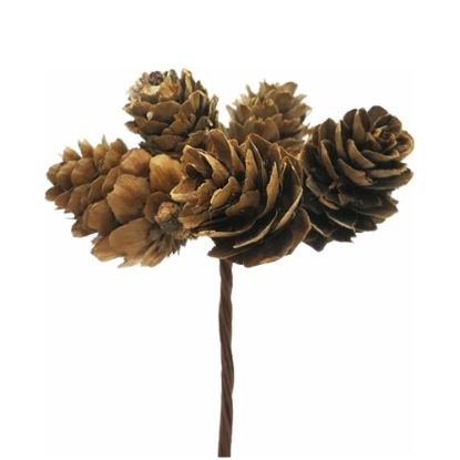 Picture of 2-4cm MINI PINE CONES ON WIRE X 24pcs