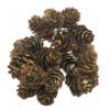 Picture of 2-4cm MINI PINE CONES ON WIRE X 24pcs