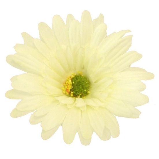 Picture of 9.5cm SINGLE GERBERA HEAD IVORY X 24pcs