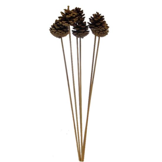 Picture of 4-6cm PINE CONE ON 50cm WOODEN STICK WITH GOLD GLITTER x 6pcs