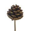 Picture of 4-6cm PINE CONE ON 50cm WOODEN STICK WITH GOLD GLITTER x 6pcs