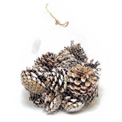 Picture of 4-6cm PINE CONES IN NET BAG NATURAL/SNOWY X 250g