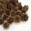 Picture of 5-7cm PINE CONES GOLD X 5kg