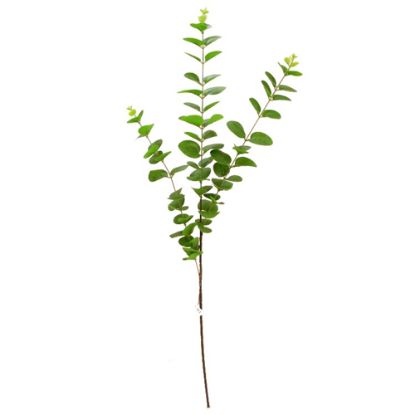 Picture of 83cm EUCALYPTUS SPRAY GREEN