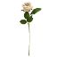 Picture of 50cm SINGLE SMALL VELVET TOUCH OPEN ROSE CREAM/LILAC