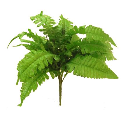 Picture of 30cm LEAFY BOSTON FERN BUSH GREEN