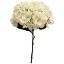 Picture of 34cm SINGLE SHORT STEM LARGE HYDRANGEA IVORY