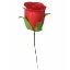 Picture of 25cm SINGLE ROSEBUD RED X 40pcs