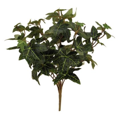 Picture of 40cm PREMIUM ENGLISH IVY BUSH GREEN