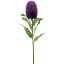 Picture of 65cm LARGE BANKSIA PURPLE