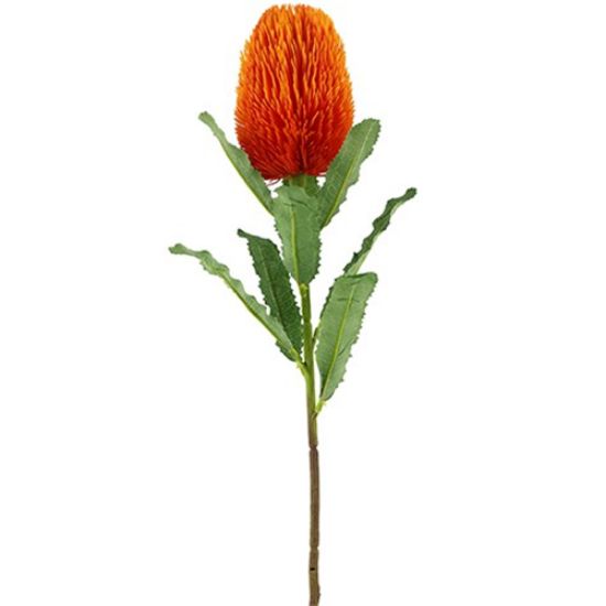 Picture of 65cm LARGE BANKSIA ORANGE