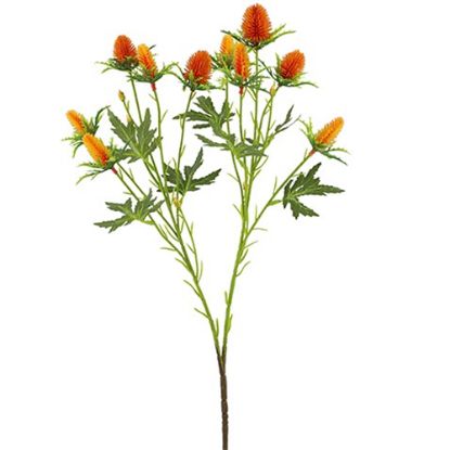 Picture of 68cm ERYNGIUM (SEA HOLLY) SPRAY ORANGE