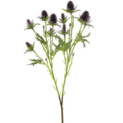 Picture of 68cm ERYNGIUM (SEA HOLLY) SPRAY PURPLE