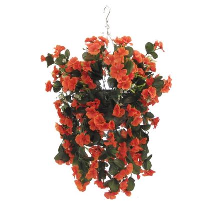 Picture of 10 INCH NASTURTIUM HANGING BASKET ORANGE X 12pcs