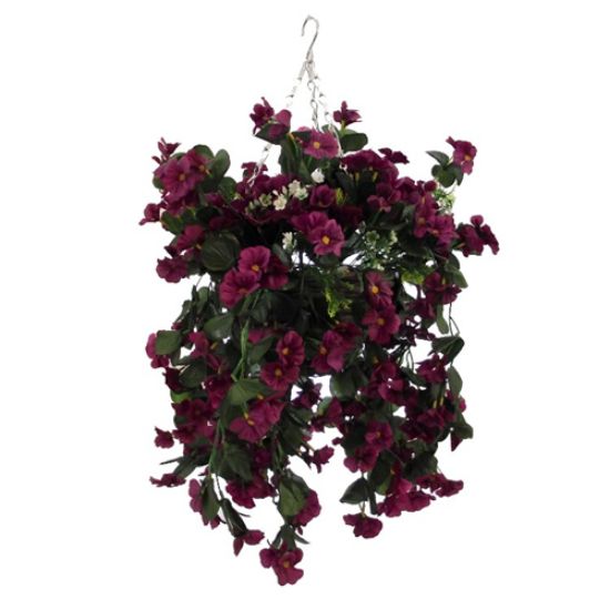 Picture of 10 INCH NASTURTIUM HANGING BASKET BURGUNDY/WINE X 12pcs