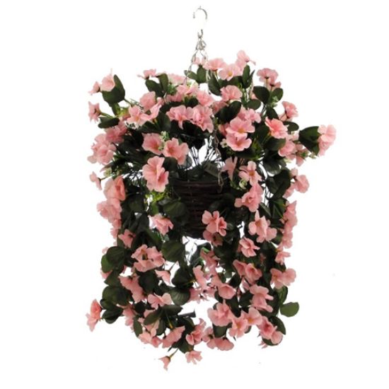 Picture of 10 INCH NASTURTIUM HANGING BASKET LIGHT PINK X 12pcs (NAMED SALMON ON BOX)