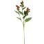 Picture of 68cm HYPERICUM BERRY SPRAY RED
